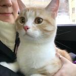 Кристина Пророкова