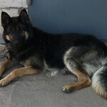 Любовь Смирнова