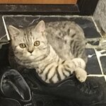 КостЯ Р.