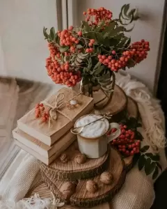 Фотография Правовая Защита 3